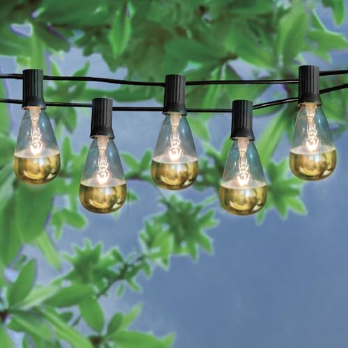 Brite Star 10 Lt Patio Lights, ST38 with Gold Dipped, Clear, Black Wire