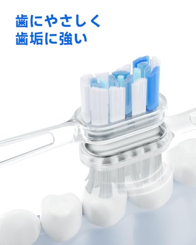 Amazon.co.jp: Laifen ライフェン: Wave電動歯ブラシ
