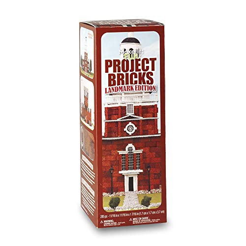 FloraCraft Foam 285 Piece Project Bricks Landmark Edition 0.6 Inch x 0.6 Inch x 1.4 Inch Red