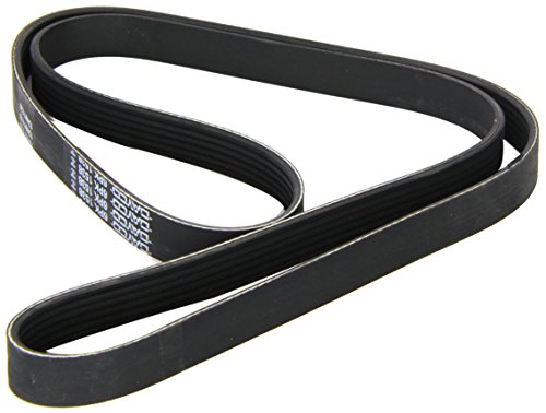 Courroie striée Dayco 6PK1538 de qualité supérieure pour automobile