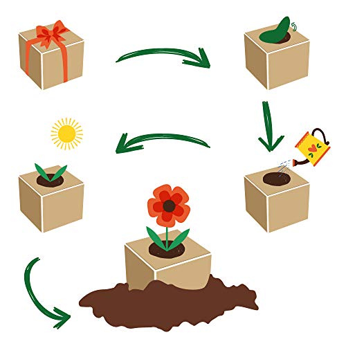 Feel Green 296688 Celebrations Ecocube, Glücksklee, Holzwürfel Mit Lasergravur «Ganz Viel Glück Für Dich», Nachhaltige Geschenkidee, Anzuchtset, Made in Austria, natural