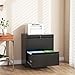FOSTOKO Lateral File Cabinet with Lock, 2 Drawer Filing Cabinet, Metal File Cabinets for Home Office, Steel Heavy-Duty Filing Storage Cabinet for Letters/Legal/A4 (Require Assembly, Black)