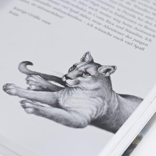 Woodwalkers (1). Carags Verwandlung (Filmausgabe): Das Buch zum 