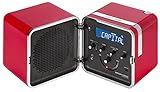 radio brionvega Radio digitale FM e DAB/DAB+ offre una qualità audio chiara e nitida, cerca automaticamente tutte le stazioni radio disponibili.