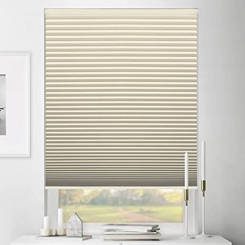 Amazon.ca Most Wished For Items customers added to Wish Lists and