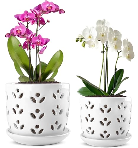 REMIAWY Orchid Pot, 2 Pack Orchid Pots with Drainage...