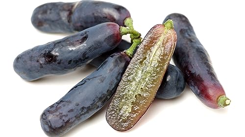 Image of 50 Seeds- Organic Finger Grape Vine Plant Seeds for Planting Non-GMO Fresh Fruit Seeds for Home Yard Easy to Grow
