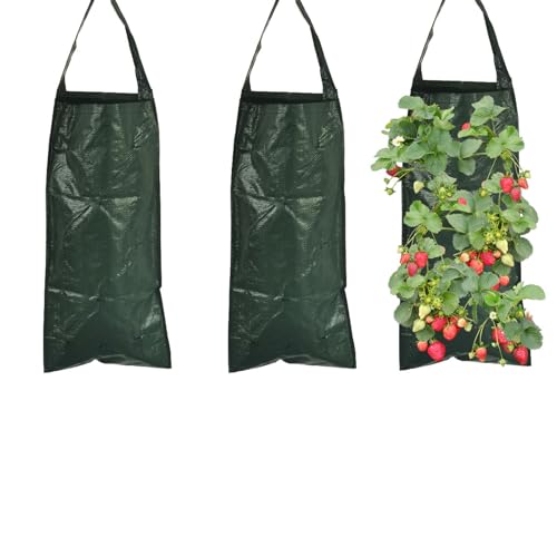 SRJQXH 3er Pflanzsack, Pflanztaschen für Draußen mit 10 Löchern, Atmungsaktiv Pflanzsäcke丨Vertikal Hängend Pflanzbeutel für Erdbeeren, Tomaten, Gemüsepflanzen