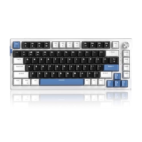 MageGee SKY81 75% Wireless Gasket Mechanical Gaming Keyboard, Hot Swappable RGB Custom Creamy Keyboard w/ 5-Layer Padding, BT/2.4G/USB-C, Knob Control, NKRO for Win/Mac (Mecha, Blue Whale Switch)