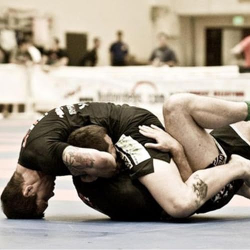 Stability, Exploration & the Nervous System &mdash; Grappling and MMA Under Chaos