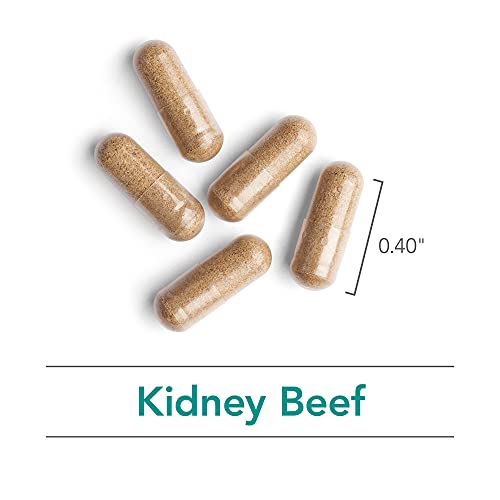 Nutricology Kidney Beef - Natural Glandular, Kidney Support, Histamine - 100 Vegicaps #TOP4