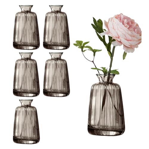 Weihnachtsdeko in Glasvasen 14 6 Stück Kleine Glasvasen für Tischdeko, Mini Vasen Blumenvase Set...