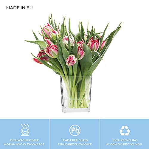 Transparante Glazen Vaas Decoratieve Pot Bloemenbloem Plantenhouder Bos in Glas Mini Tuindecoratie | Vaatwasmachinebestendig | Verzameling Violet | 820 ml - Afbeelding 5