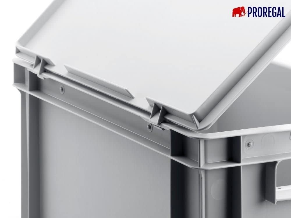 SparSet 10x Eurobehälter mit offenem Griff | HxBxT 23,5x30x40cm | 22 Liter | Grau | Eurobox, Transportbox, Transportbehälter, Stapelbehälter