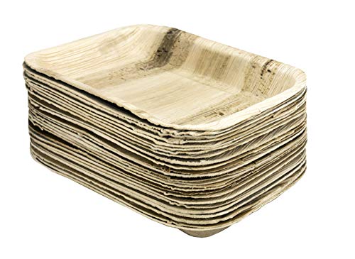 Disposable Palm Leaf Plates - 25 Pack - Rectangular Biodegradable Plates - 6" x 4" - 100% All Natural Areca Palm Leaf Tableware - Perfect for Picnics, BBQ, and Outdoor Parties