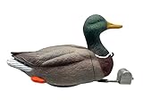 MOJO Outdoors Dabbler Duck Feeding Mallard Drake Decoy with 6 Life-Like Motion Modes - Rechargeable 7.4V Li-Ion Battery - Creates Realistic Water Movement and Sounds – Waterproof Design