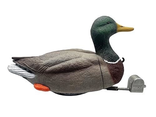 MOJO Outdoors Dabbler Duck Feeding Mallard Drake Decoy with 6 Life-Like Motion Modes - Rechargeable 7.4V Li-Ion Battery - Creates Realistic Water Movement and Sounds – Waterproof Design