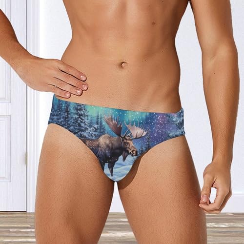 Alaskan Moose with Aurora Borealis Novelty Men's Brief Swimwear Pants Swimming Trunks Beach Shorts Underwear4