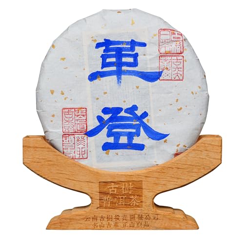 ̃GRWJECtHXgYy2023N vo VOc[Î t@[XgtbV v[A 200g/?zƂɂ菑 RNVl Tv2܂t