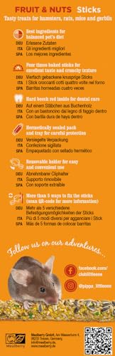 Little One Fruit & Nuts Sticks | 120 g (2 x 60 g) | Ergänzungsfuttersnack für Hamster, Ratten, Mäuse und Rennmäuse | Mit Früchten und Nüssen | Vielseitig befestigbar