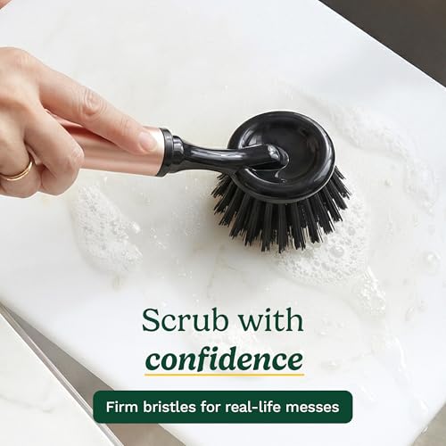 Image of Cuisinart Dish Brush with Handle 2 Pack - Kitchen Scrub Brush for Dishes, Pots & Pans, Non-Scratch Dish Scrubber, Firm Bristles for Sink & Cookware, Comfortable Grip for Everyday Cleaning