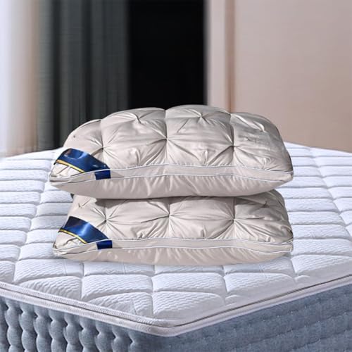 Set 2 Almohadas de Poliéster Tamaño Queen