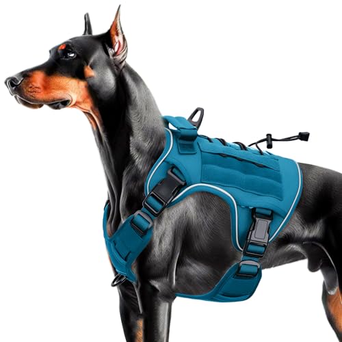 Heavy-Duty Tactical Dog Harness for Large Dogs, No Pull Adjustable Reflective Pet Vest with Molle System, K9 Military-Grade Control for Service Training, Outdoor & 10+ Breeds, Blue, Large by Bruvoalon - Used condition - US$23.99