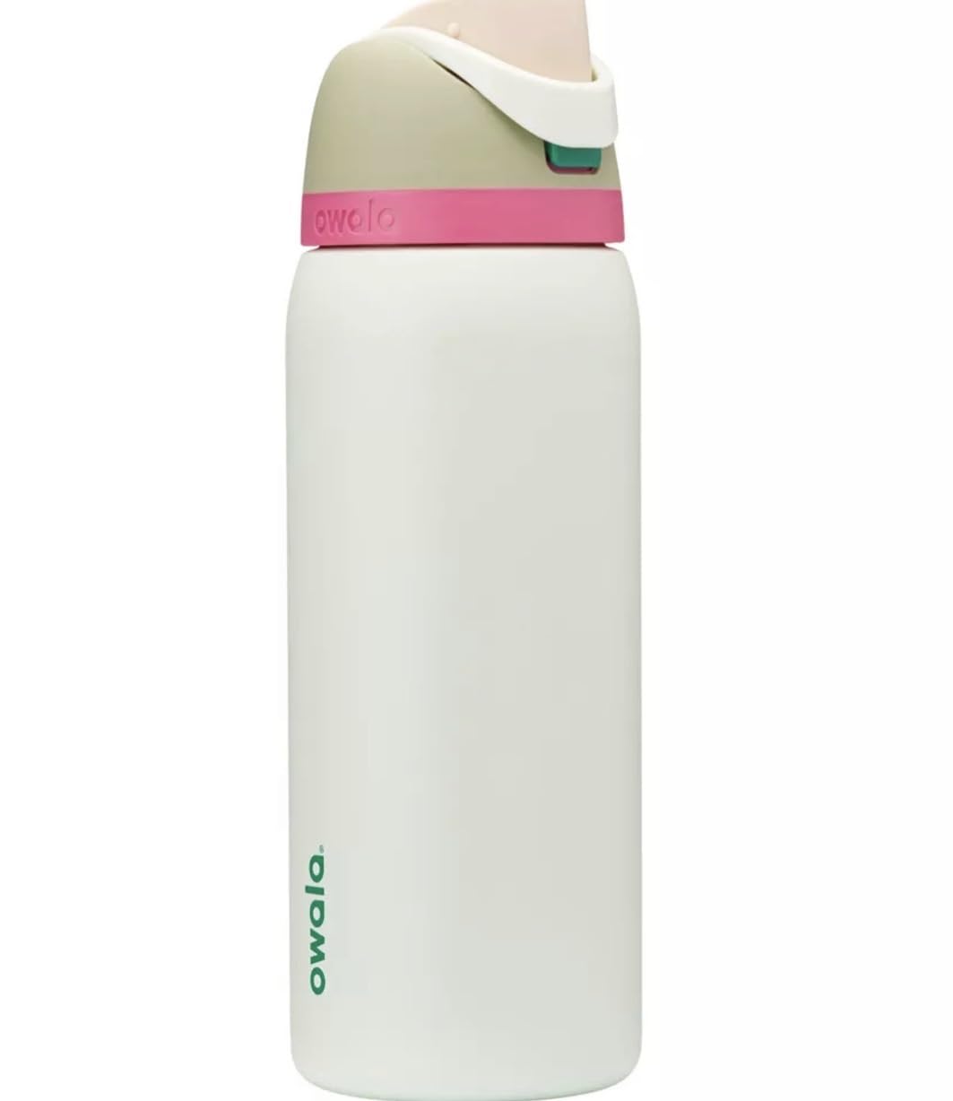 Owala FreeSip 32oz Stainless Steel Water Bottle, Mint Alpine Sport