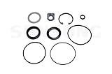 Sunsong 8401189 Steering Gear Pitman Shaft Seal Kit