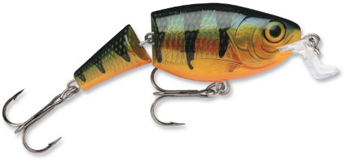 Jointed Shallow Shad Rap 07 Perch