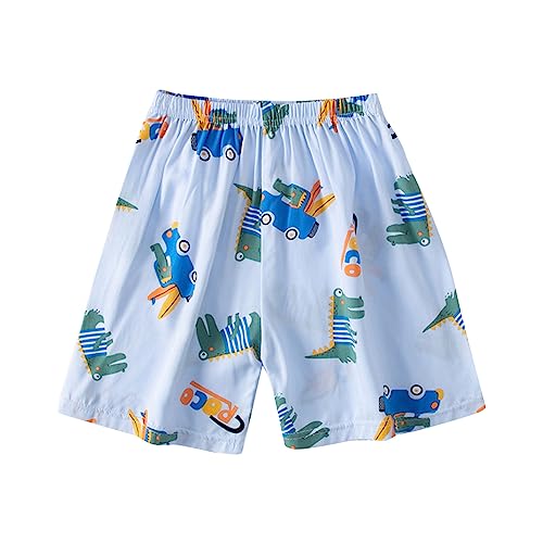 Kids Boys Bermuda Swim Shorts Toddler Baggy Wide Leg Elastic Waist Knee Length Comfy Swim Trunks (Light Blue, 2-3 Years)