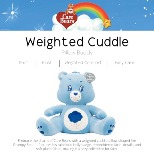 Image of Franco Calm Care Bears Grumpy Bear Bedding Super Soft Calming 3Lb Weighted Cuddle Pillow Buddy, Comfort Pillow, (Officially Licensed Product)