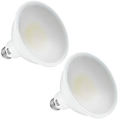 10 Best Our Top 10 Led Flood Light Bulbs In 2021 of 2022