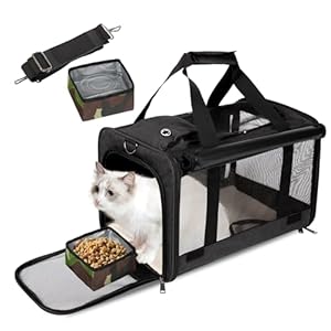 Cat Carriers for Cats Under 20 lbs，Puppy Carrier for Small Dogs，Kitty Carriers for Cats，Foldable Dog Travel Carriers (Black)