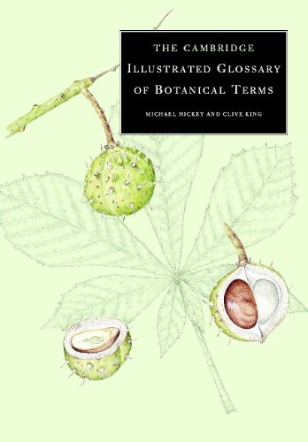 Glossary Of Botanical Terms – The Kew Plant glossary : an illustrated ...