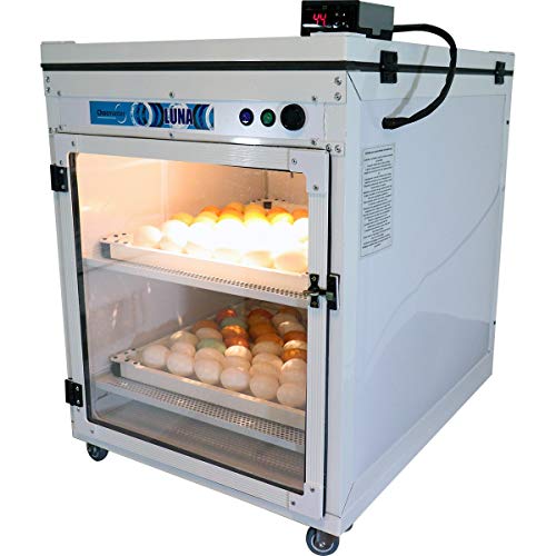 Chocadeira Automática Digital - Luna 160 (220)