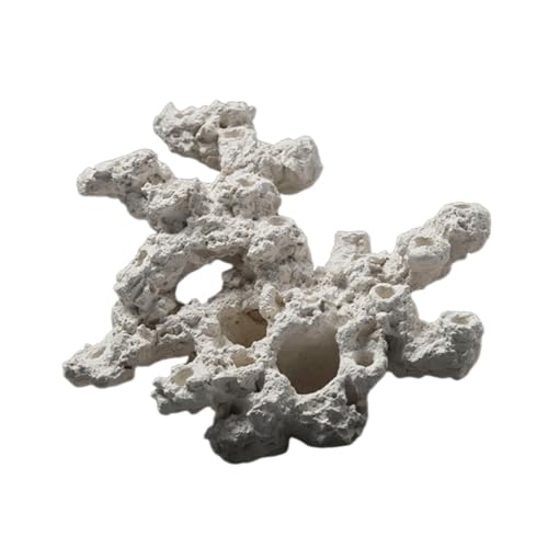 PEWETE  ANAXP[v   u pVF^[ ɐBA  ɐBpB i, X^CD