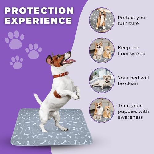 Image of MarV 2-Pack Washable Pee Pads for Dogs Non Slip Puppy Pads , Ultra-Absorbent Mats for Puppy Training, Multi-Use, Reusable Puppy Pads (Grey, S)