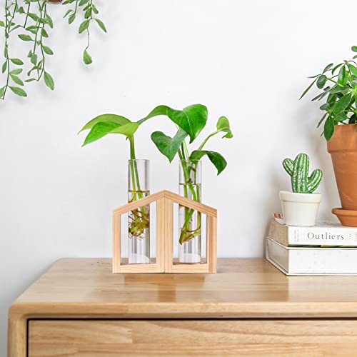 Ivolador Glass Propagation Glass Test Tube Plant Terrarium For Hydroponic Plants Home Garden Decoration-Mini #TOP3