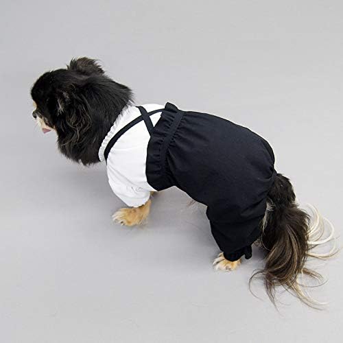 Amazon カボチャパンツロンパース型紙 ばらばら印刷 大きな大型犬大型犬m 大型犬xl 型紙 パターン 通販