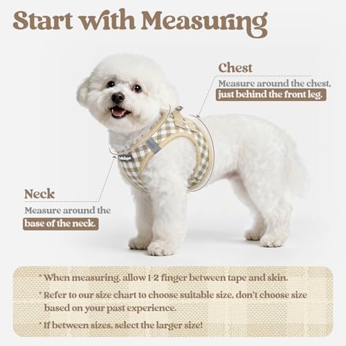 Image of rabbitgoo Dog Harness Small Sized and Leash Set, Step-in Puppy Pet Vest