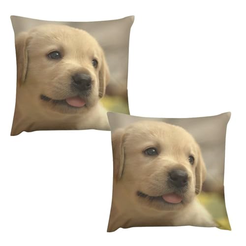 NbVJo[ 2Zbg uh[go[  Jo[ 60cmx60cm Jo[ zcJo[ \t@w Jo[  k CeA  BWbp[ 􂦂 \t@p Qp ItBX ԗp v[g