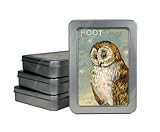 Cavallini Vintage Owl Note Cards, 10 Glittered Cards with Envelopes