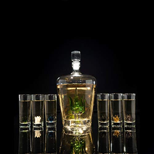 Tequila Decanter Tequila Glasses Set With Agave Decanter And 6 Agave Sipping Shot Glass, Perfect For Gifts For Tequila Lovers, 25 Ounce Bottle, 3 Ounce Tequila Party Decorations Cinco De Mayo (Agave) #TOP7