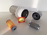 Motor Fun Sports