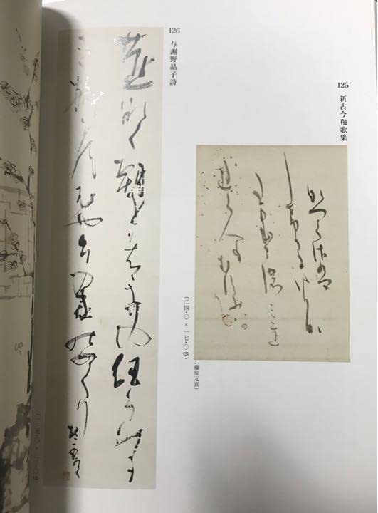 生誕110年記念　青山杉雨展図録 Amazon.co.jp: 生誕110年記念 青山杉雨展図録 : おもちゃ