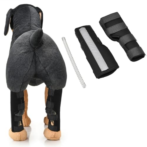 nikkai؁jp ol ֐߃veN^[ G T|[^[ 2Zbg ֐ߕی yAŒ nr  LTCY