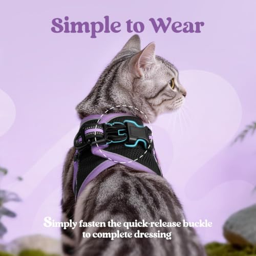 Image of rabbitgoo Cat Harness and Leash Set, Step-in Soft Vest, Black-Light Purple | Escape Proof, Lightweight, Easy-on & Adjustable, Hook & Loop with Buckle, Reflective, for Kittens & Small Cats Walks, S