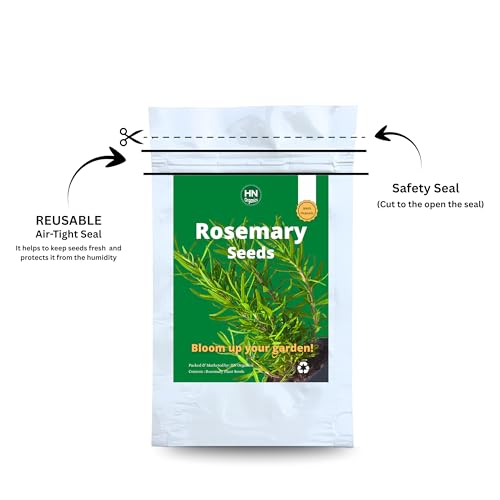 Image of Rosemary Seeds for Planting in Home Kitchen Garden (35-40 Seeds) (Rosemary)