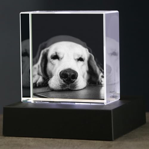 image for zeiniyio Personalized Pet 3D Crystal Photo，Pet Memorial Gifts for Do